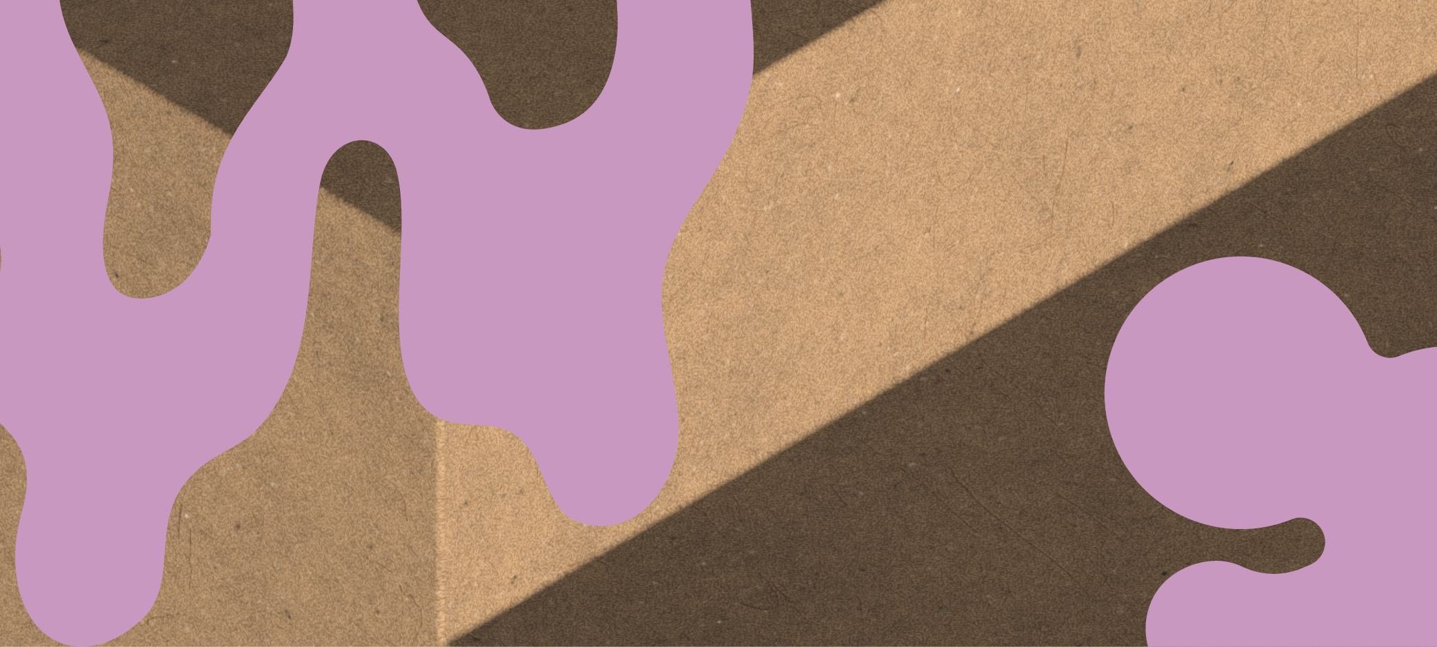 MYP24_Banner